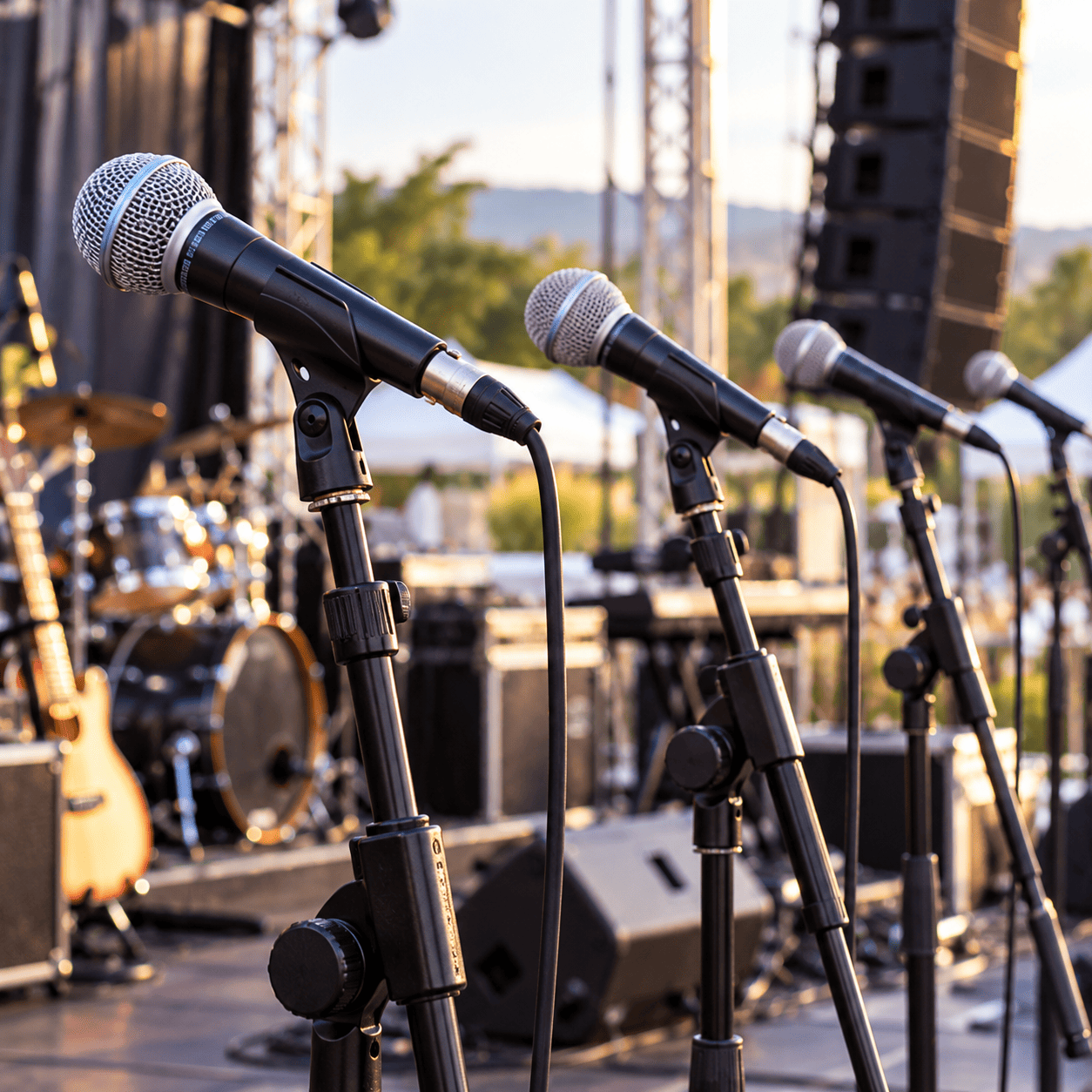 Professional microphones for hire